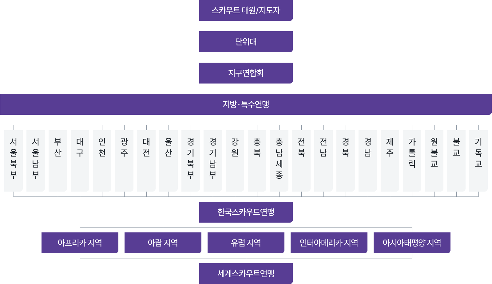 스카우트 구성도