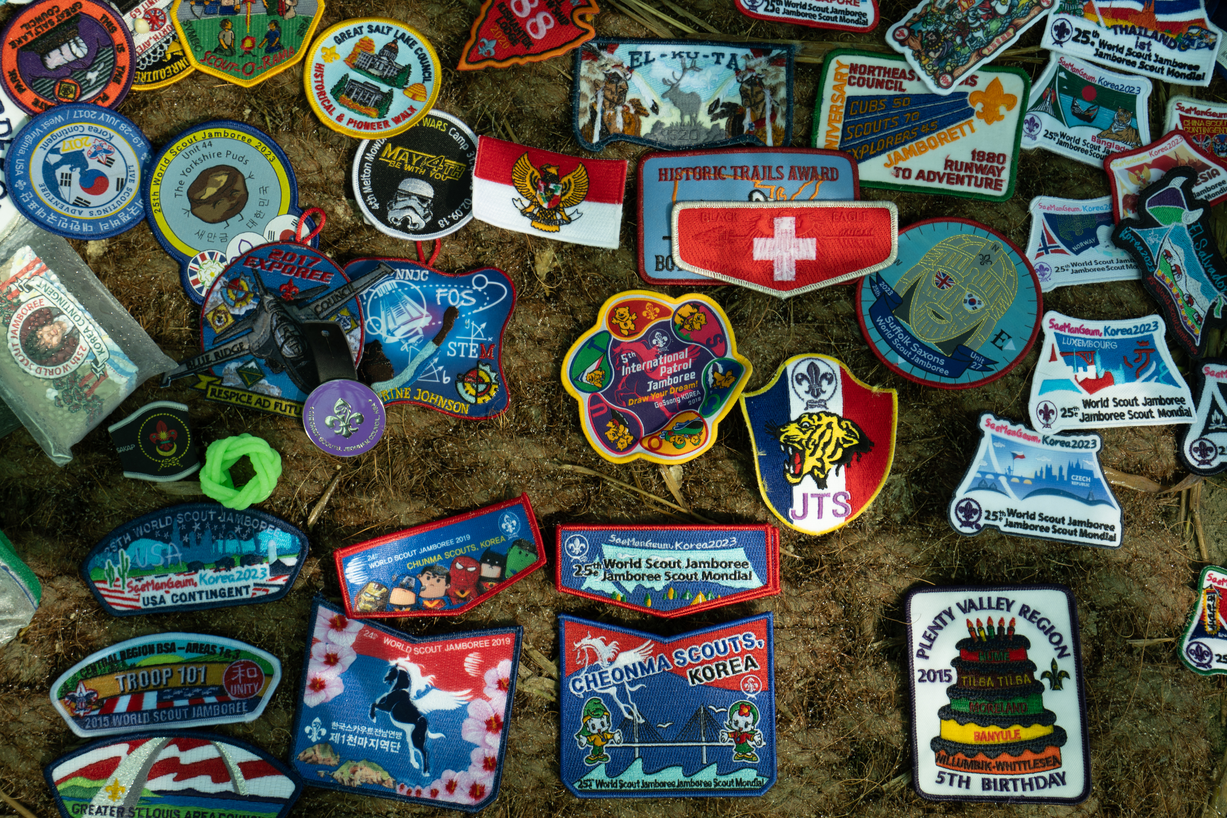 스카우트 이미지